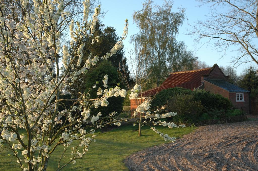 Field Cottage Bed And Continental Breakfast East Harling 部屋 写真